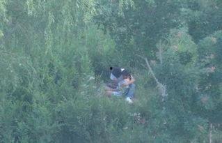 国产树林野战在线播放,热血激战，在线热血沸腾